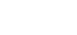 Risk Strategies